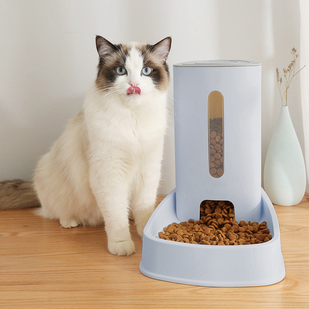Food Dispenser For Cats-Paw Print Pad