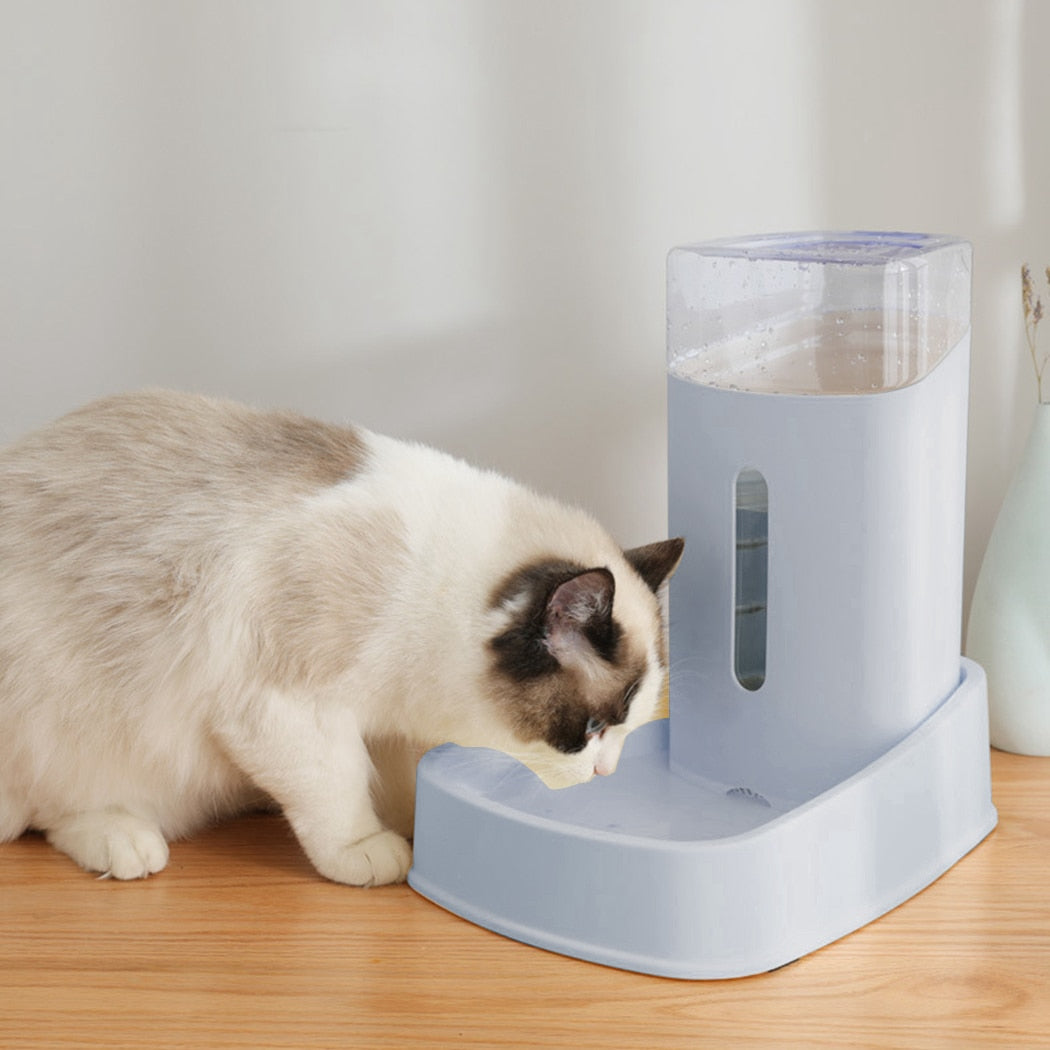 Food Dispenser For Cats-Paw Print Pad