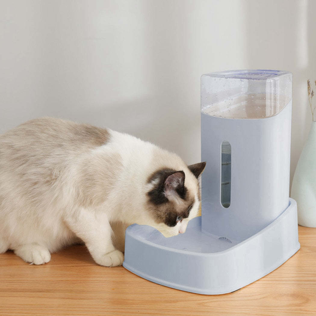 Food Dispenser For Cats-Paw Print Pad