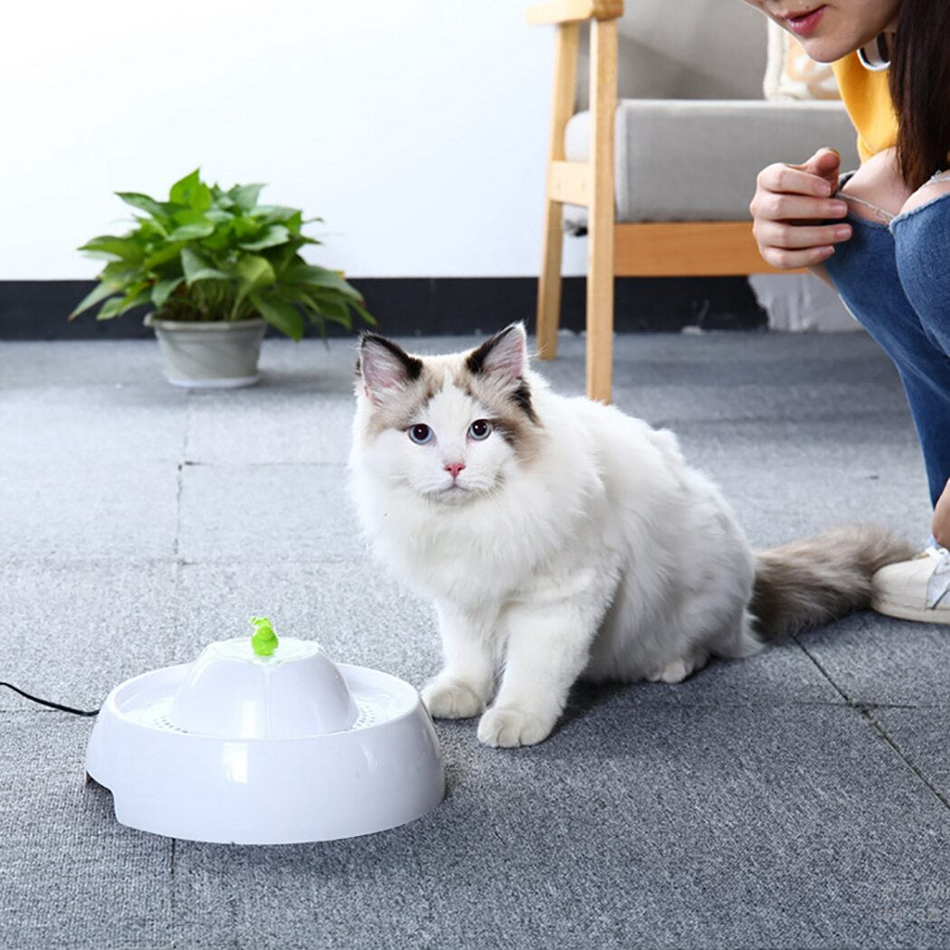 Automatic Water Fountain For Cats-Paw Print Pad