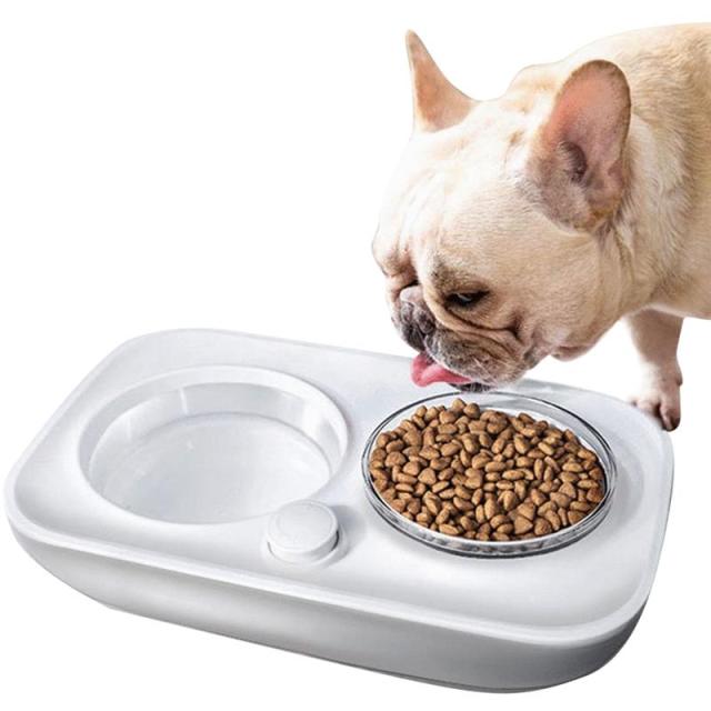 2 In 1 Pet Food Bowls For Dog-Paw Print Pad
