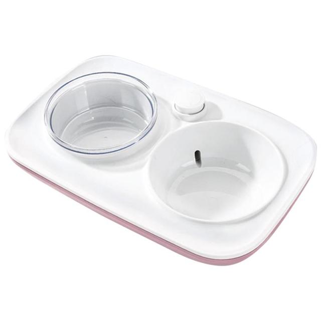 2 In 1 Pet Food Bowls For Dog-Paw Print Pad