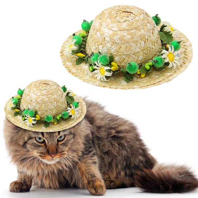 Creative Straw Hat For Cats-Paw Print Pad