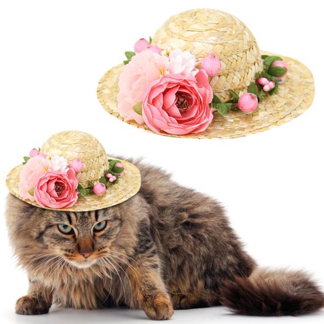 Creative Straw Hat For Cats-Paw Print Pad