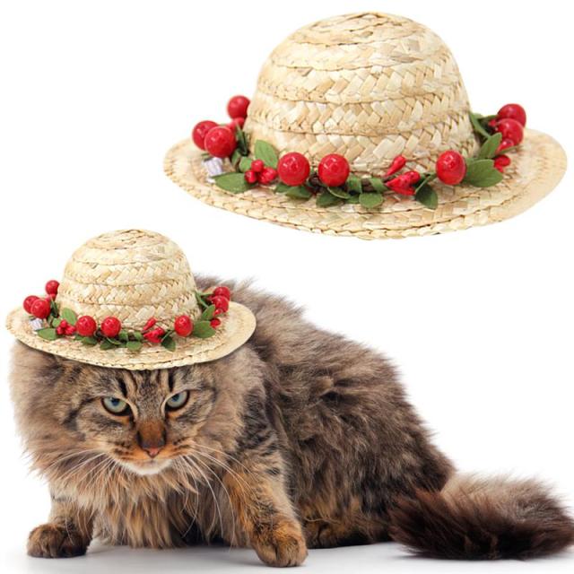 Creative Straw Hat For Cats-Paw Print Pad
