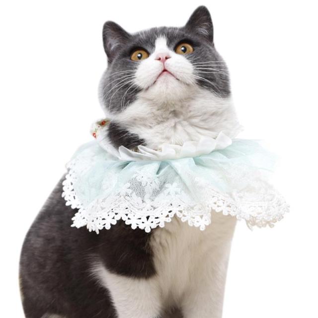 Lace Cat Bandana-Paw Print Pad