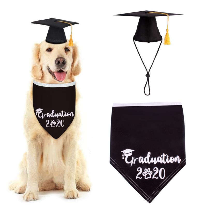 Graduation Clothing For Dogs-Paw Print Pad