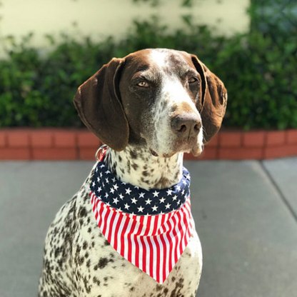 American Flag Bandana For Dogs-Paw Print Pad