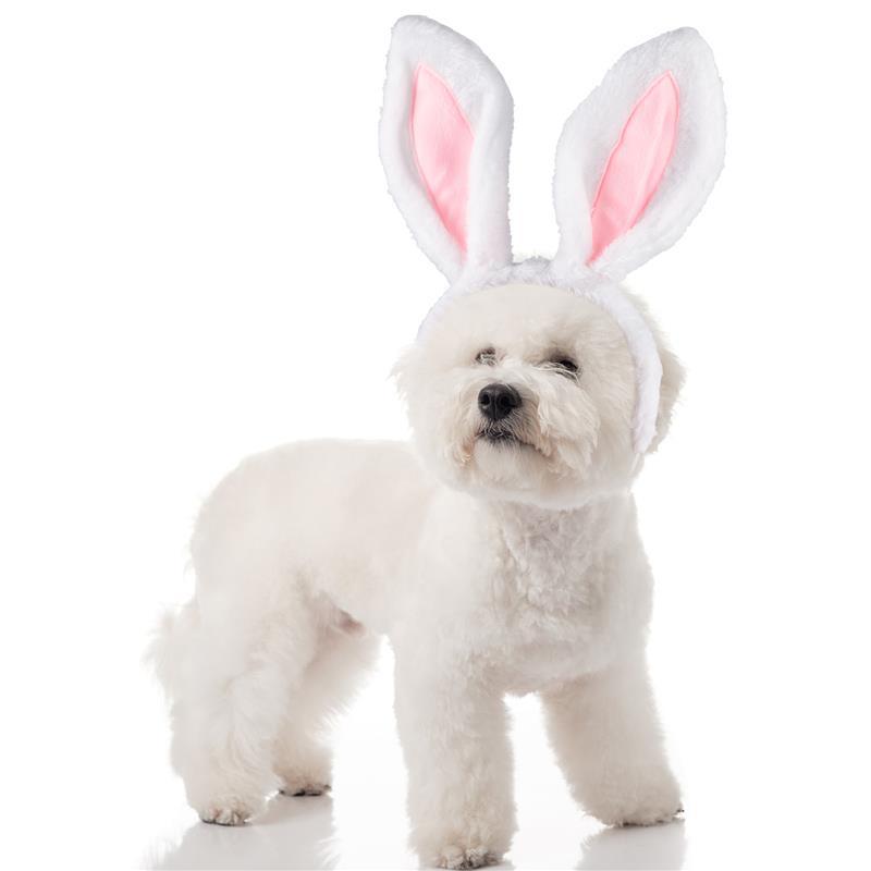 Bunny Ears Headband For Dog-Paw Print Pad