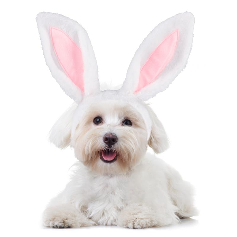 Bunny Ears Headband For Dog-Paw Print Pad