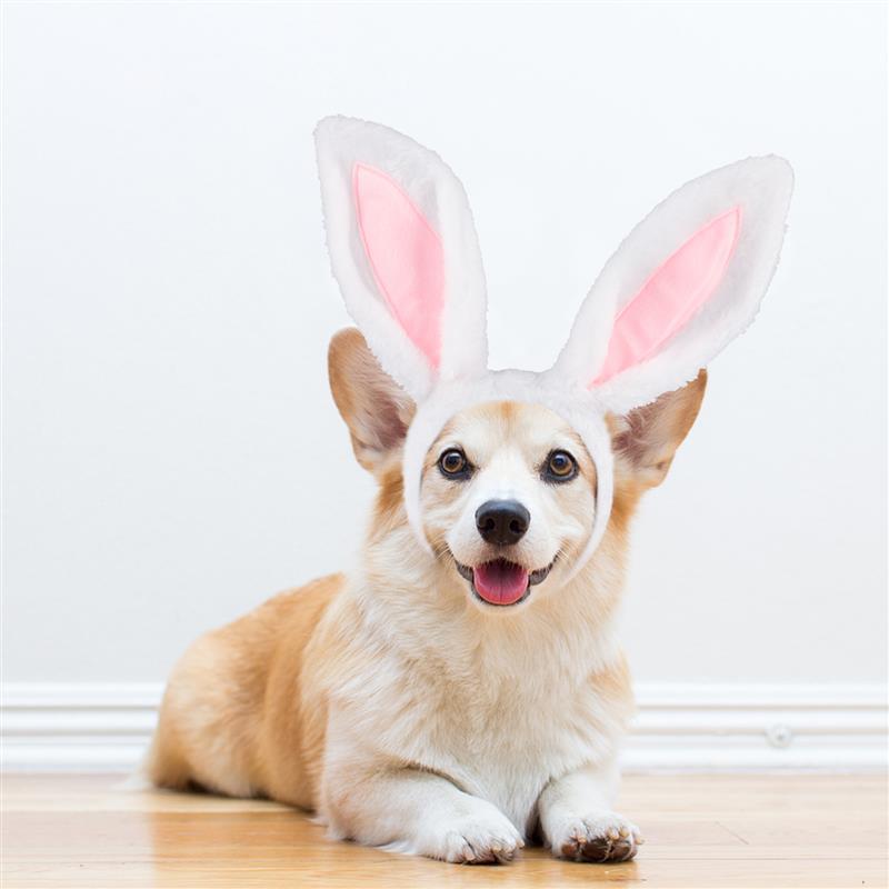 Bunny Ears Headband For Dog-Paw Print Pad