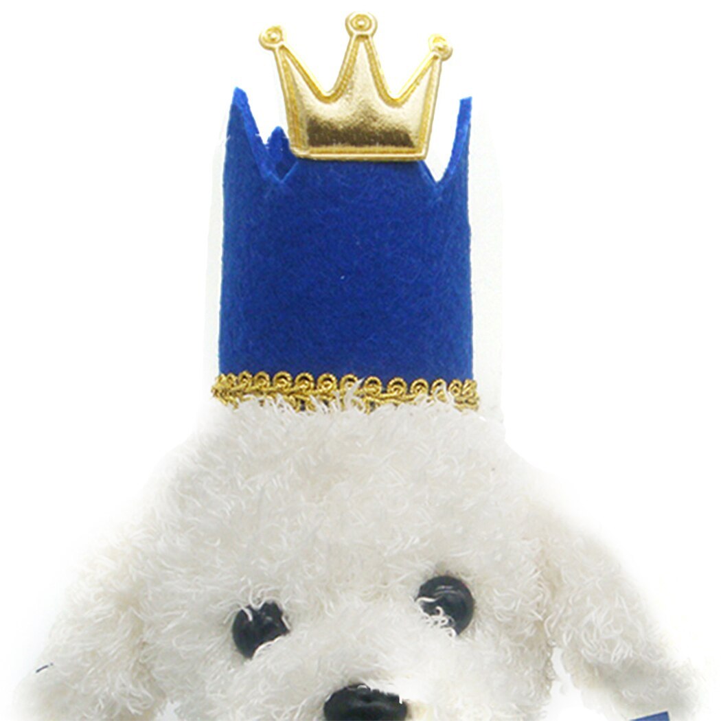 Birthday Hat For Dog-Paw Print Pad