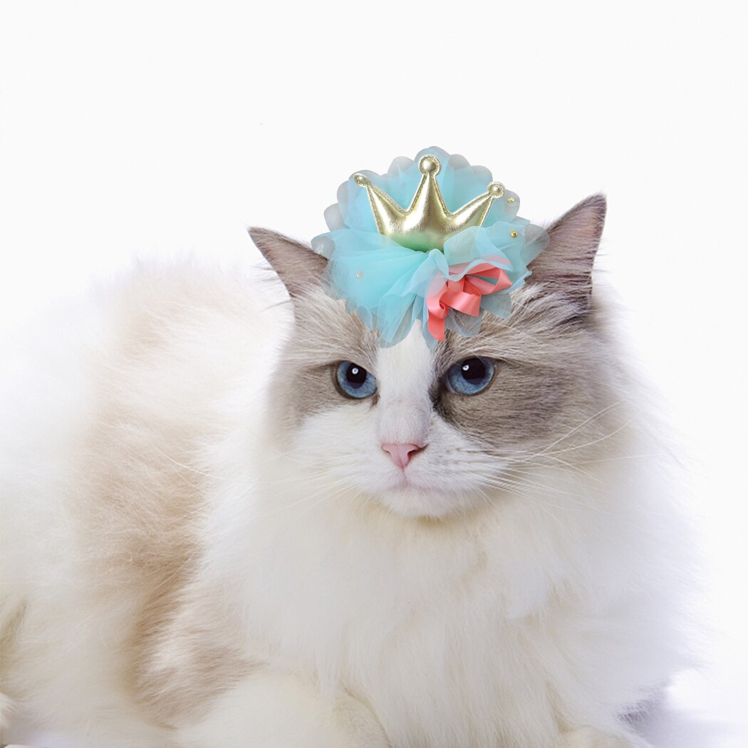 Hair Clip For Cat-Paw Print Pad