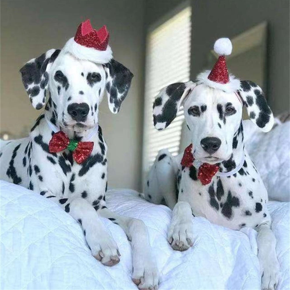 Christmas Costume Set For Dogs-Paw Print Pad