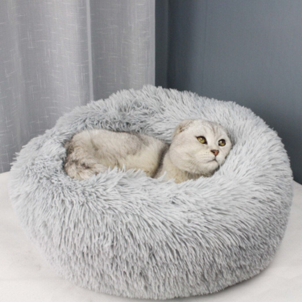 Plush Beds For Cats-Paw Print Pad