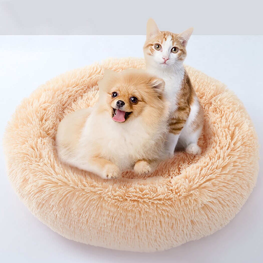 Plush Beds For Cats-Paw Print Pad