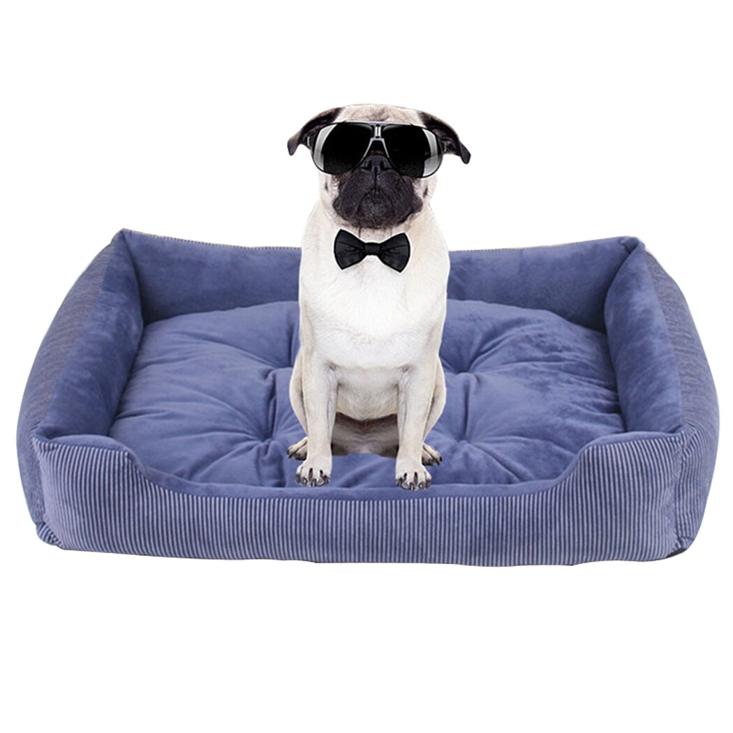 Square Plush Beds For Dogs-Paw Print Pad