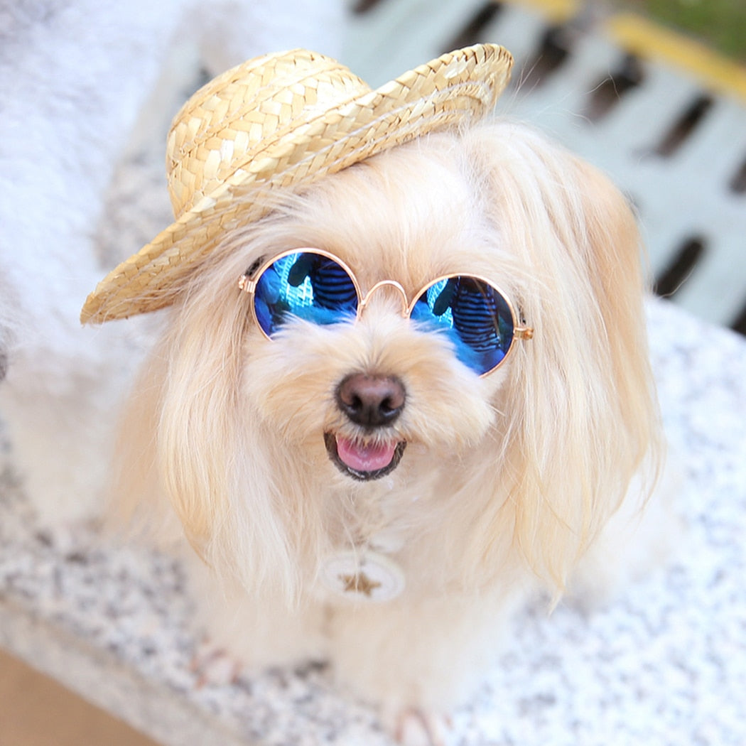 Adjustable Straw Hat For Dogs-Paw Print Pad