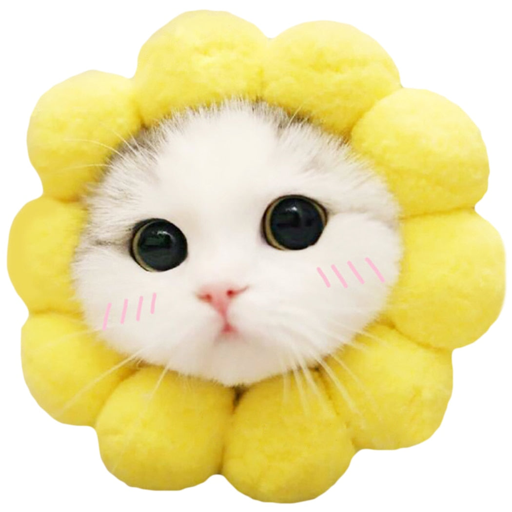 Sunflower Head Cap For Cats-Paw Print Pad