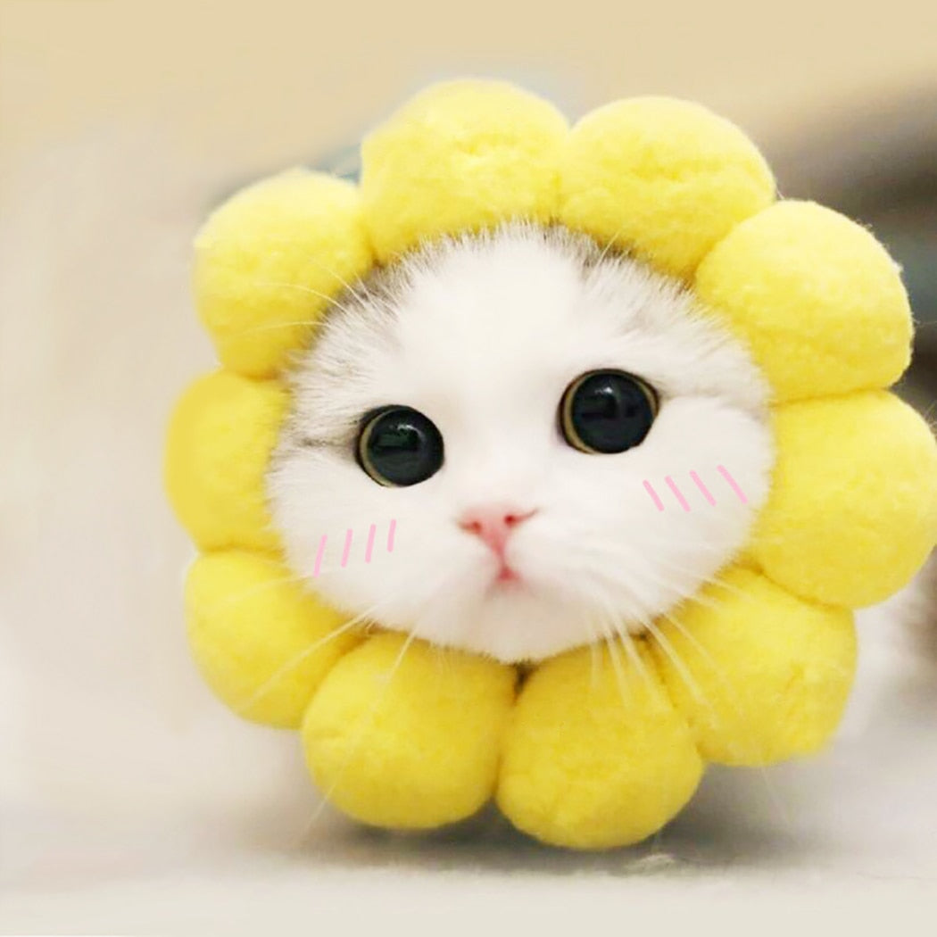 Sunflower Head Cap For Cats-Paw Print Pad