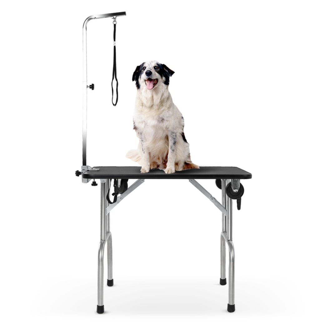 2 Piece Grooming Rope For Dogs-Paw Print Pad