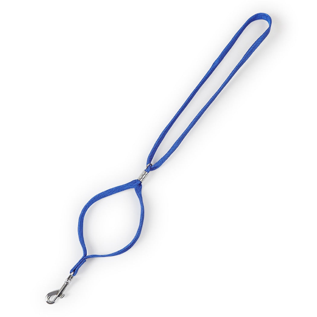 2 Piece 48cm Grooming Rope Set For Dogs-Paw Print Pad