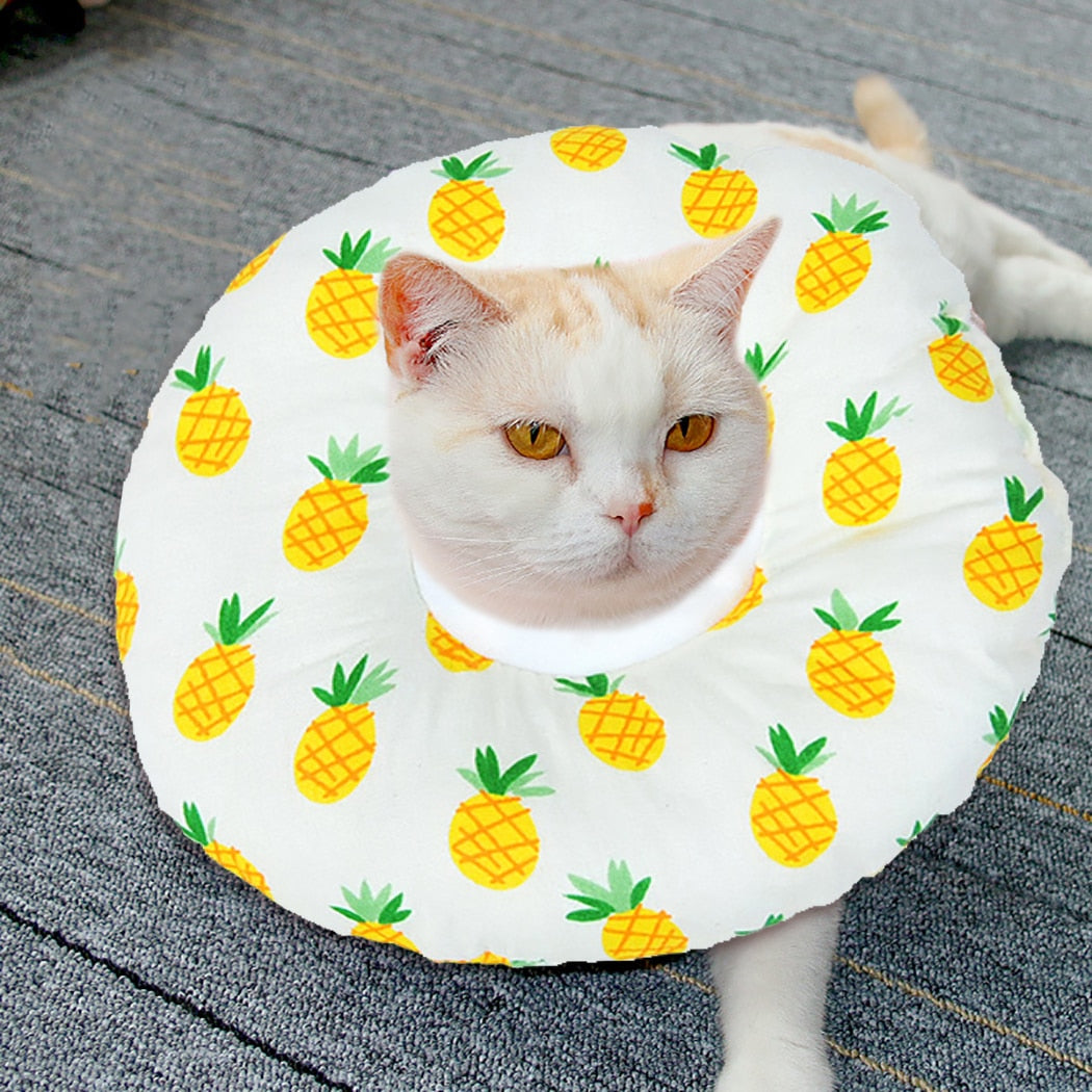 Soft Sponge Cat Recovery Collar-Paw Print Pad