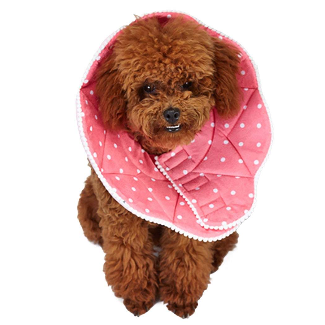 Cute Flower Shape Recovery Collars For Dogs-Paw Print Pad