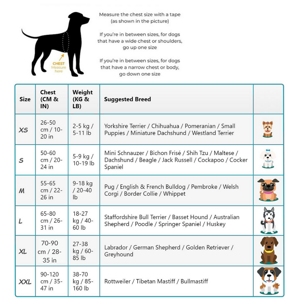 Custom No Pull Dog Harness With Name and Phone Number, Heavy Duty Personalized Pet Vest-Paw Print Pad