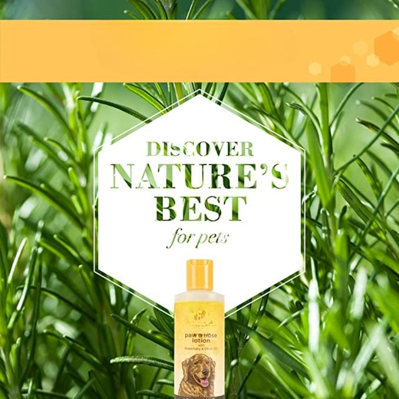 Dogs Natural Paw & Nose Lotion With Rosemary & Olive Oil-Paw Print Pad