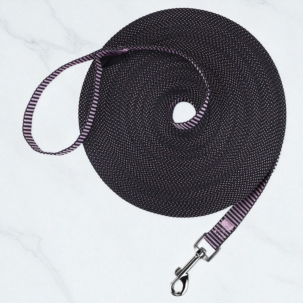 Dog Obedience Recall Training Leash