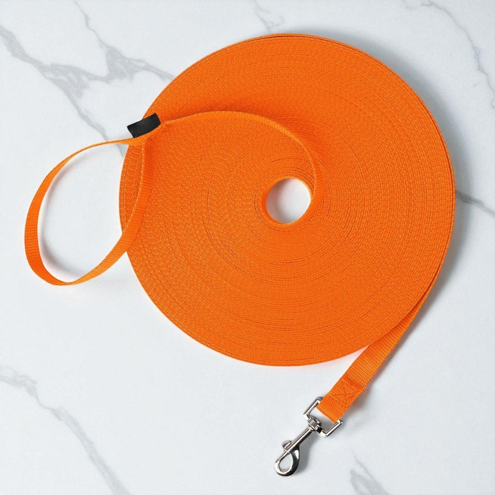 Dog Obedience Recall Training Leash