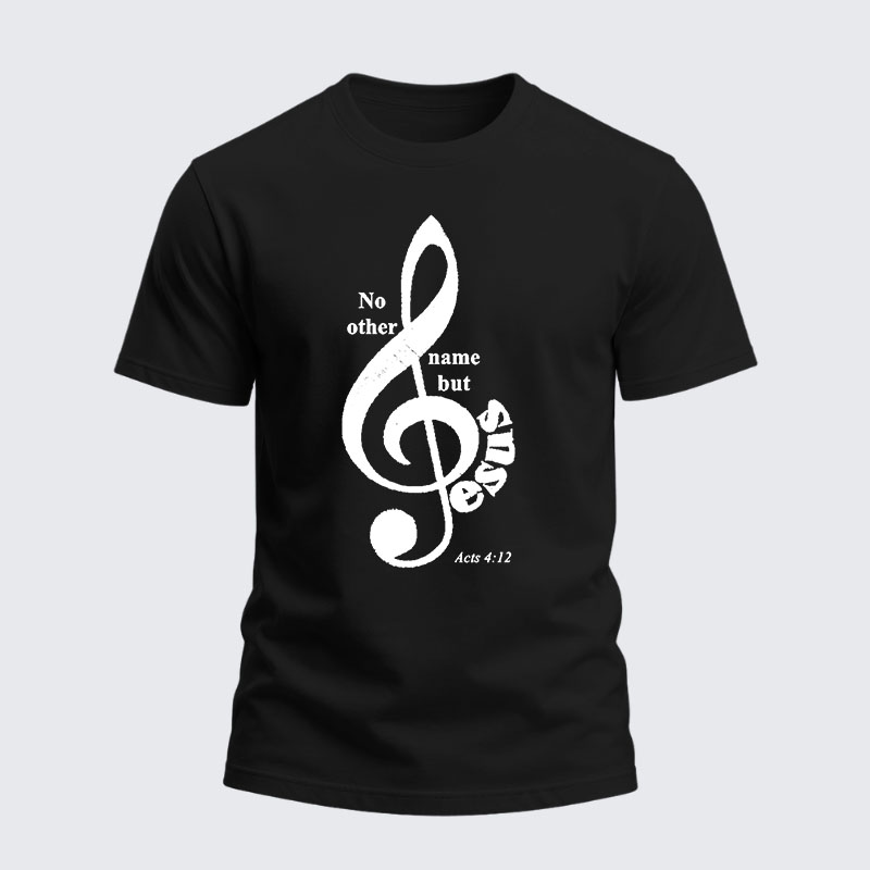 Heavyweight Cotton Tee -ACTS 4:12