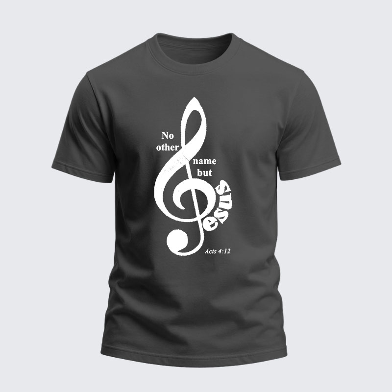 Heavyweight Cotton Tee -ACTS 4:12