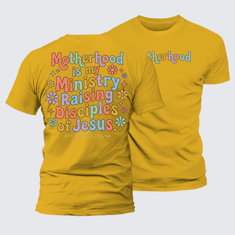 Jesus Is King Jesus God Christian Premium Mercerized Cotton Tee