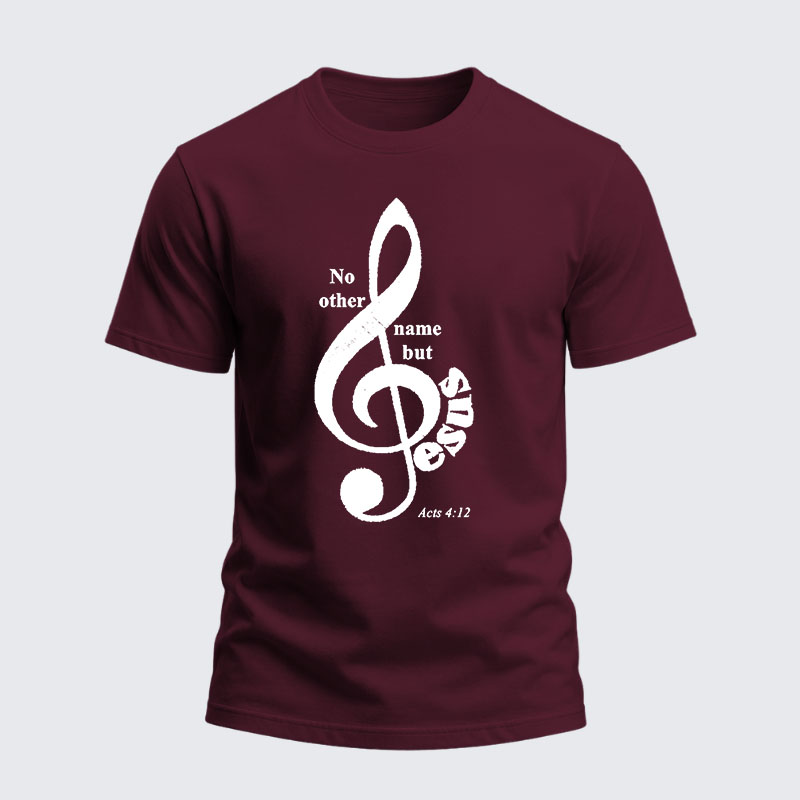 Heavyweight Cotton Tee -ACTS 4:12