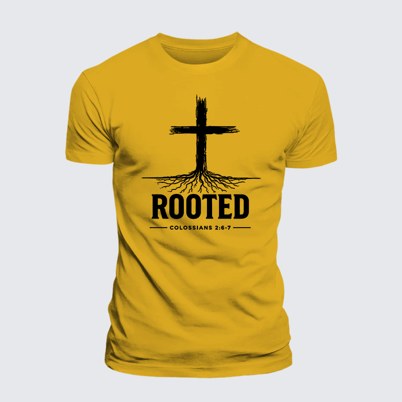 Rooted Col 2: 6-7 Jesus God Christian Premium Mercerized Cotton Tee