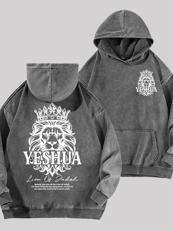 Lion Of Judah Jesus God Christian Washed Hoodie