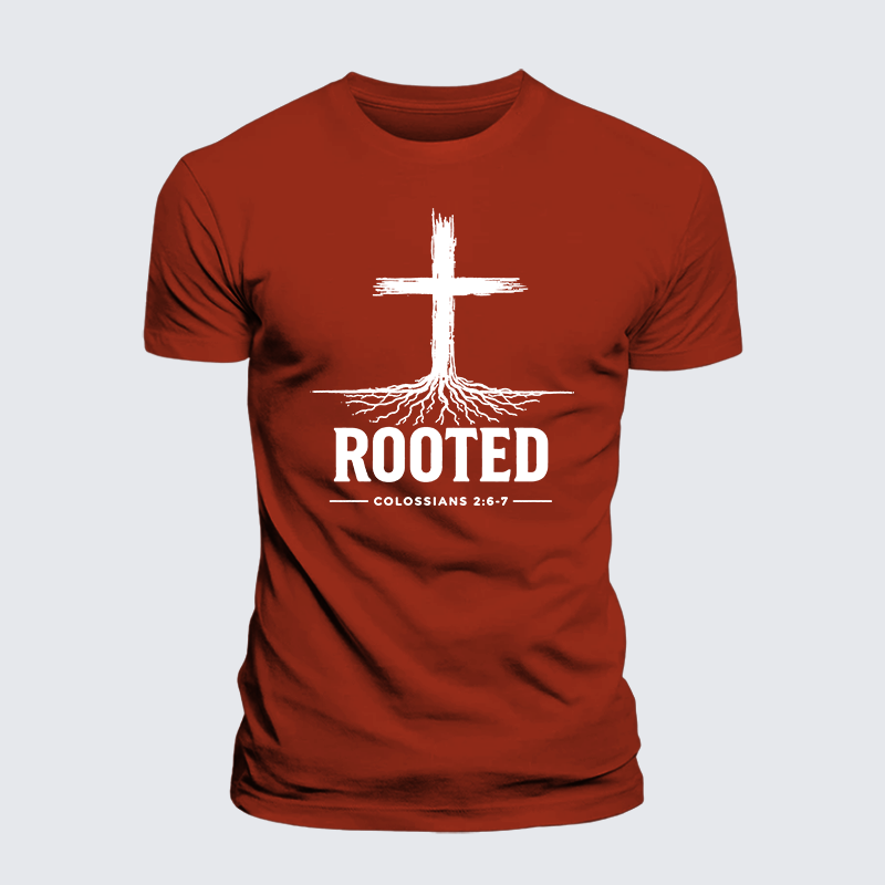 Rooted Col 2: 6-7 Jesus God Christian Premium Mercerized Cotton Tee