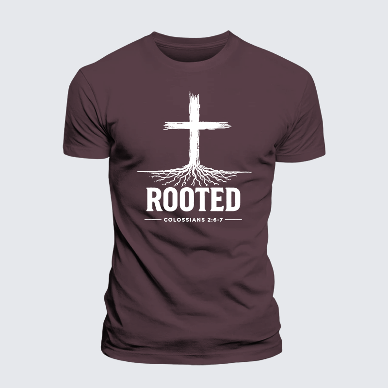 Rooted Col 2: 6-7 Jesus God Christian Premium Mercerized Cotton Tee