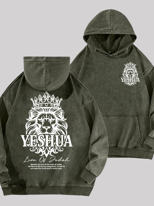 Lion Of Judah Jesus God Christian Washed Hoodie