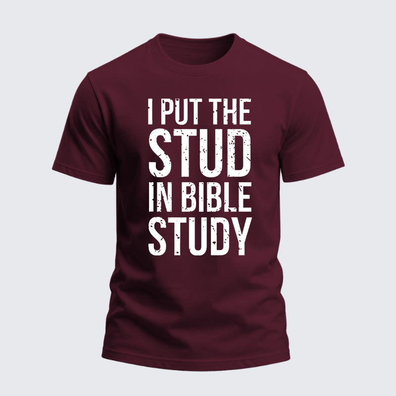 Heavyweight Cotton Tee - I Put The Stud in Bible Study