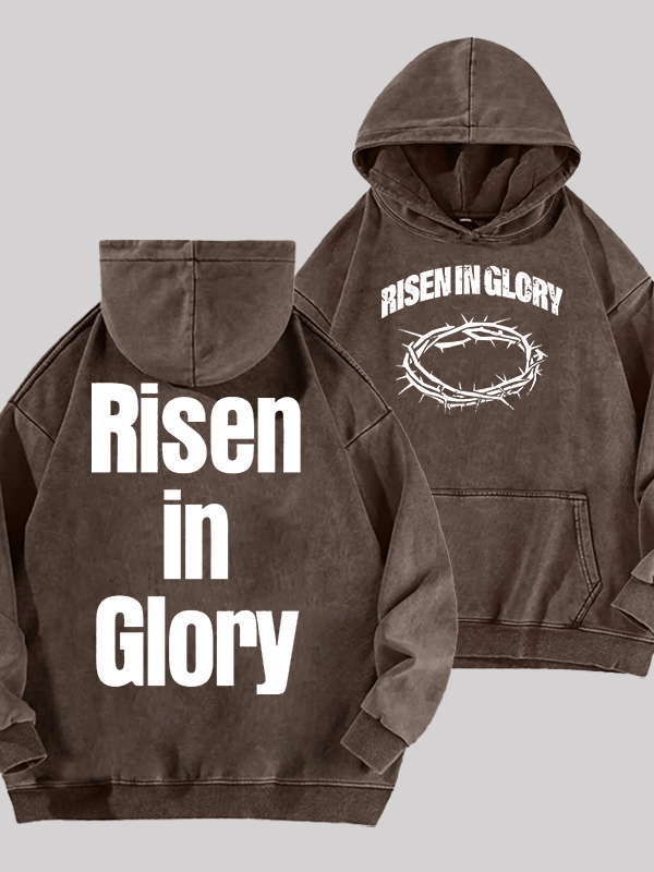 Risen In Glory Jesus God Christian Washed Hoodie