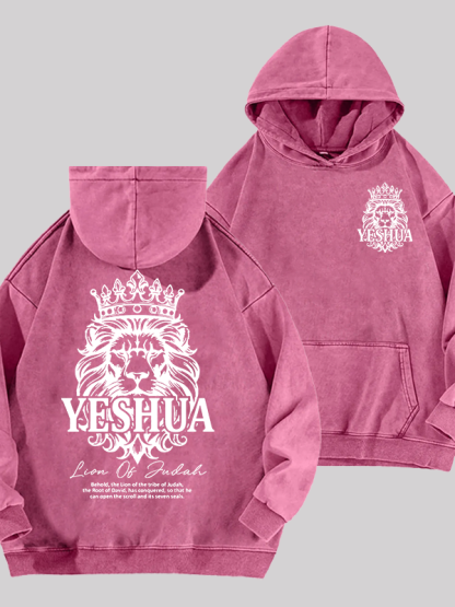 Lion Of Judah Jesus God Christian Washed Hoodie