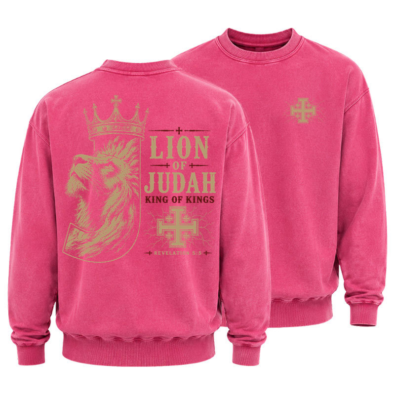 Washed Sweatshirt - Lion of Judah - Pink (front and back)