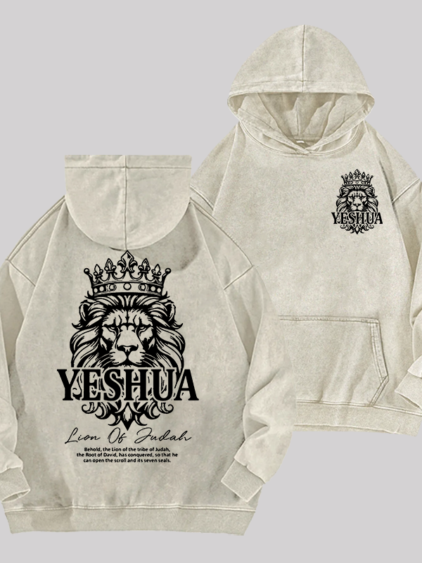 Lion Of Judah Jesus God Christian Washed Hoodie