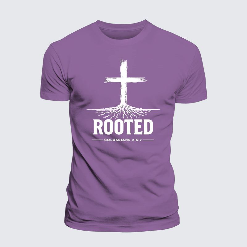 Rooted Col 2: 6-7 Jesus God Christian Premium Mercerized Cotton Tee