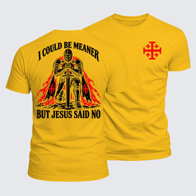Luxe Mercerized Cotton Tee - I Could Be Meaner But Jesus Said No 