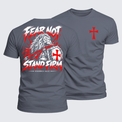 Luxe Mercerized Cotton Tee - Fear Not – Stand Firm Lion - Gray (front and back)