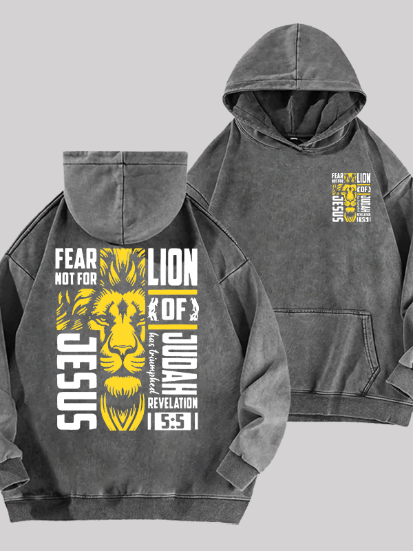 Lion Of Judah Jesus God Christian Washed Hoodie